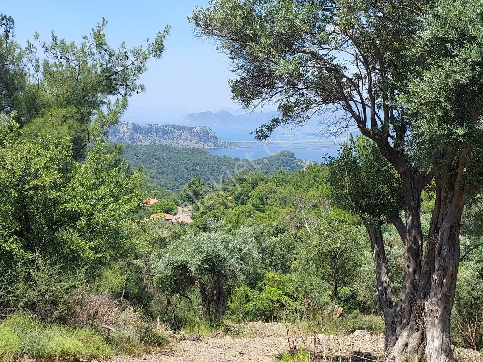 Muğla Ortaca Gökbel’de Göl Ve Deniz Manzaralı 1.000 M² Yatırımlık Arazi Satılık - Görsel 3
