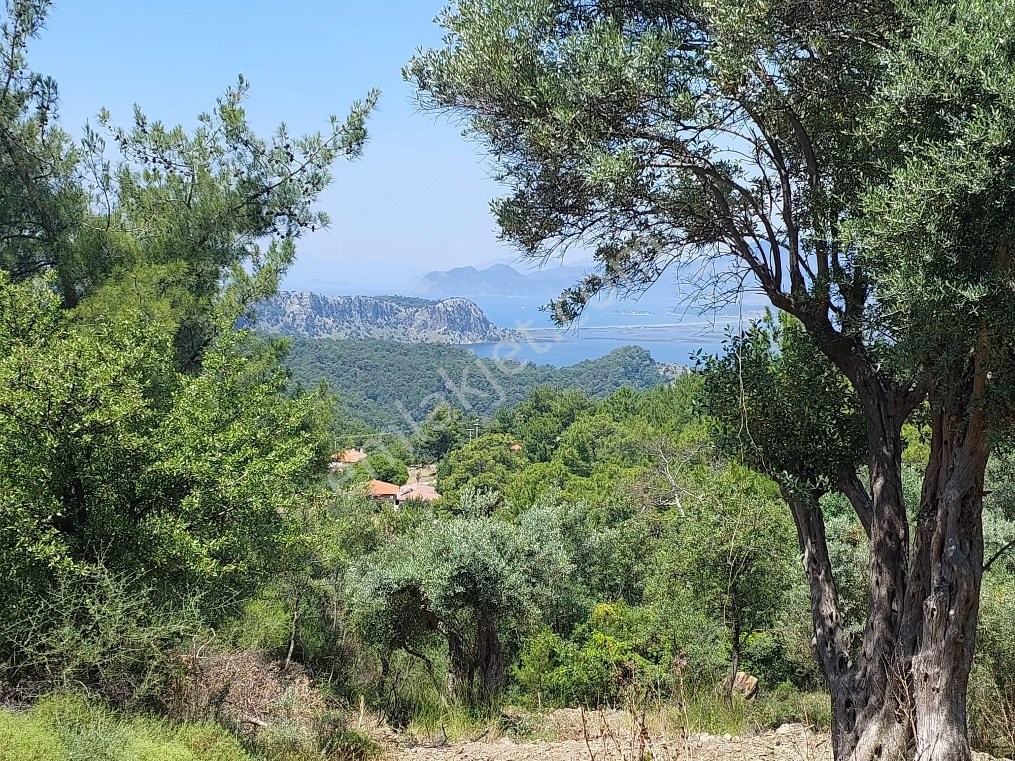 Muğla Ortaca Gökbel’de Göl Ve Deniz Manzaralı 1.000 M² Yatırımlık Arazi Satılık - Görsel 4