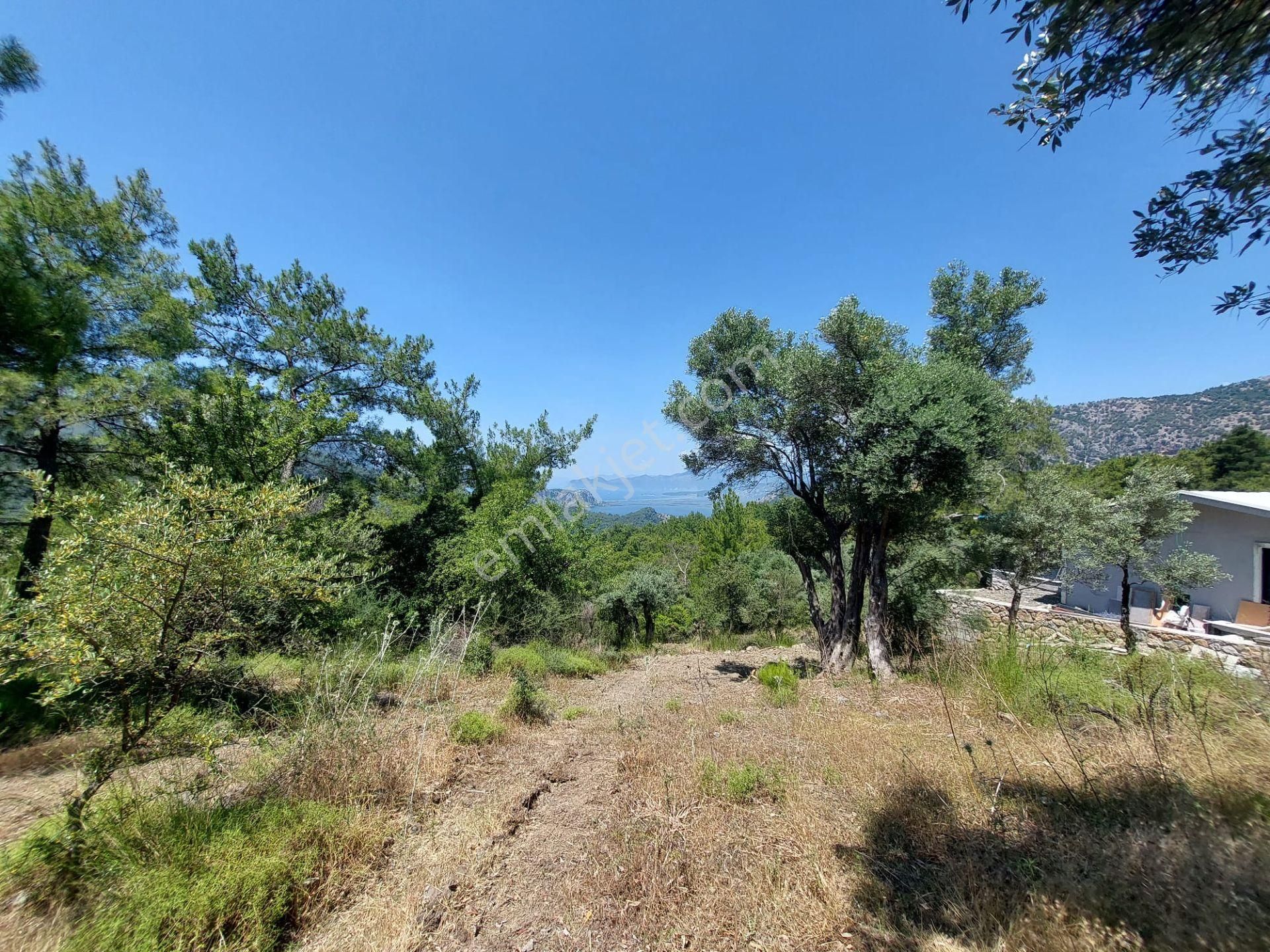 Muğla Gökbelde Göl Ve Deniz Manzaralı 1000m2 Arazi Satılık