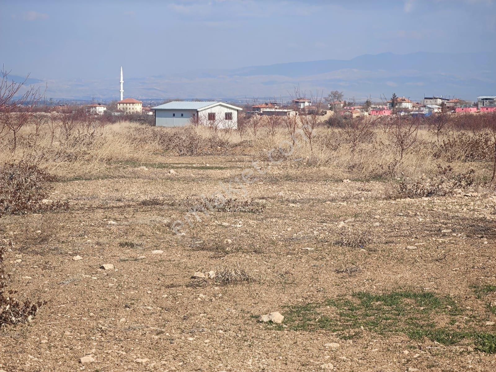 Yeşilyurt Sütlüce Satılık Bağ & Bahçe Arıkandan Sütlücede 28 Dönüm Satılık Arazi..!