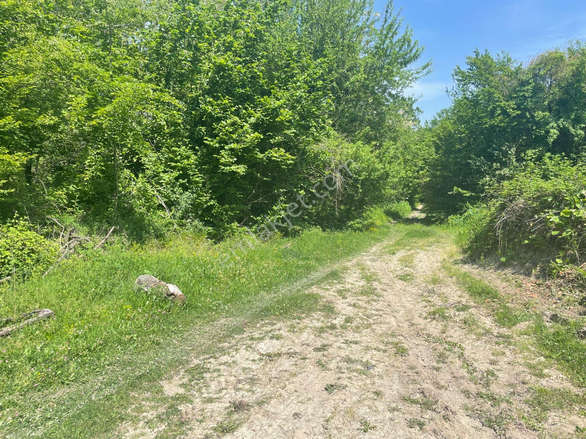 Acil Satılık Sapanca/akçay'da Yolu Olan Bahçe / Bahadır Eker'den