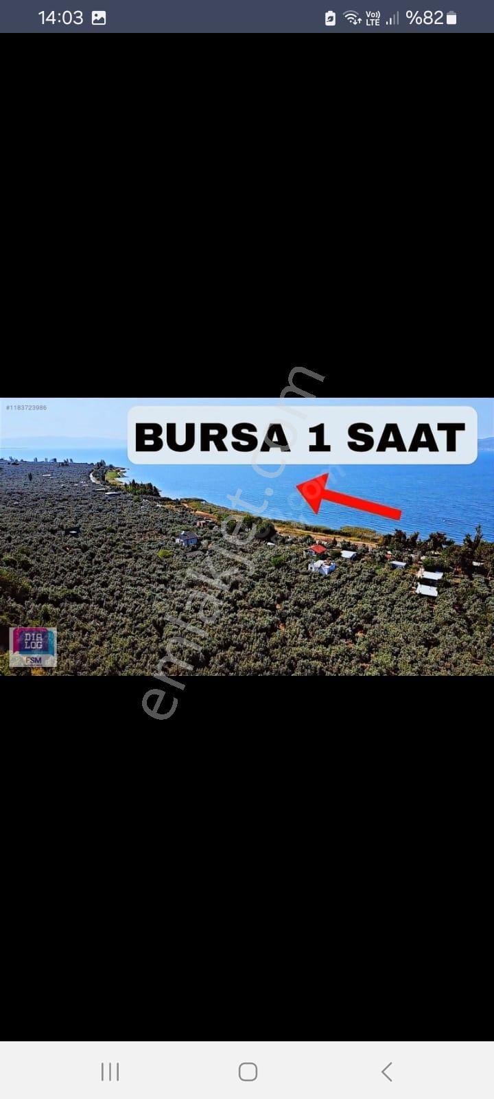 Bursa İznik Satılık Zeytinlik İznik Mustafalı 'da Köyün Dibinde Gölmanzaralı 1.670 M2 Zeytinlk