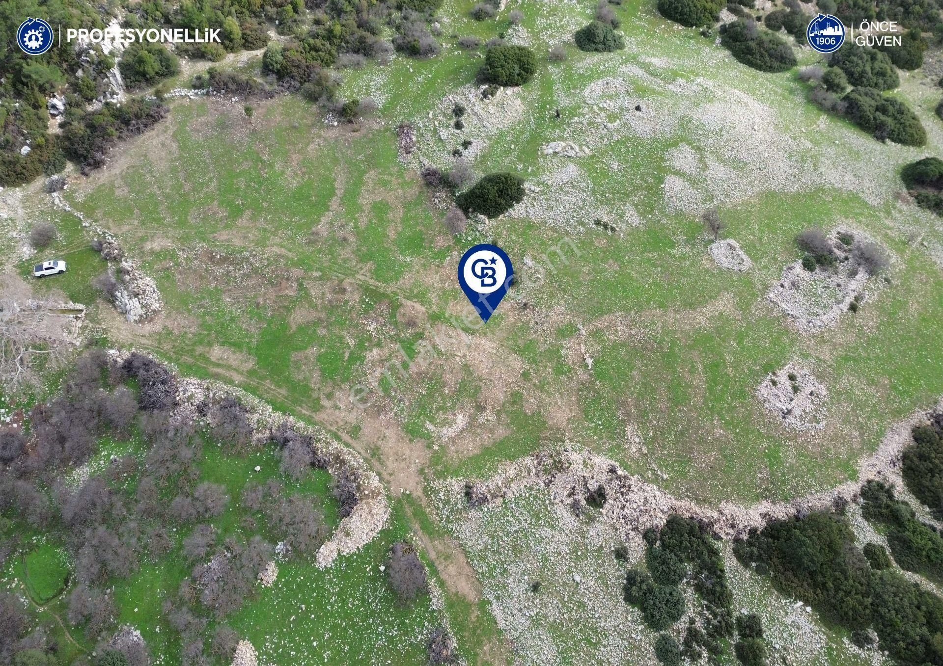 İzmir Karaburun Eğlenhoca Mahallesi'nde 5570 M2 Tarla - Görsel 12