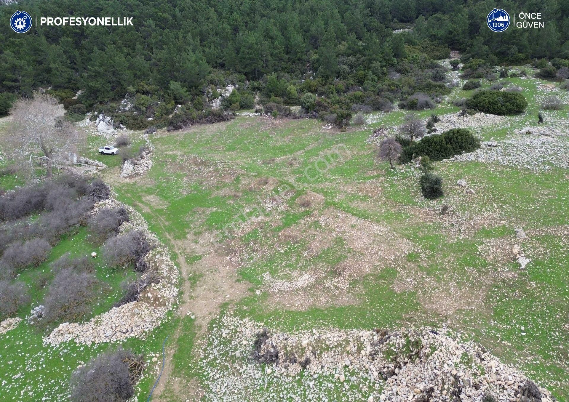 İzmir Karaburun Eğlenhoca Mahallesi'nde 5570 M2 Tarla - Görsel 16