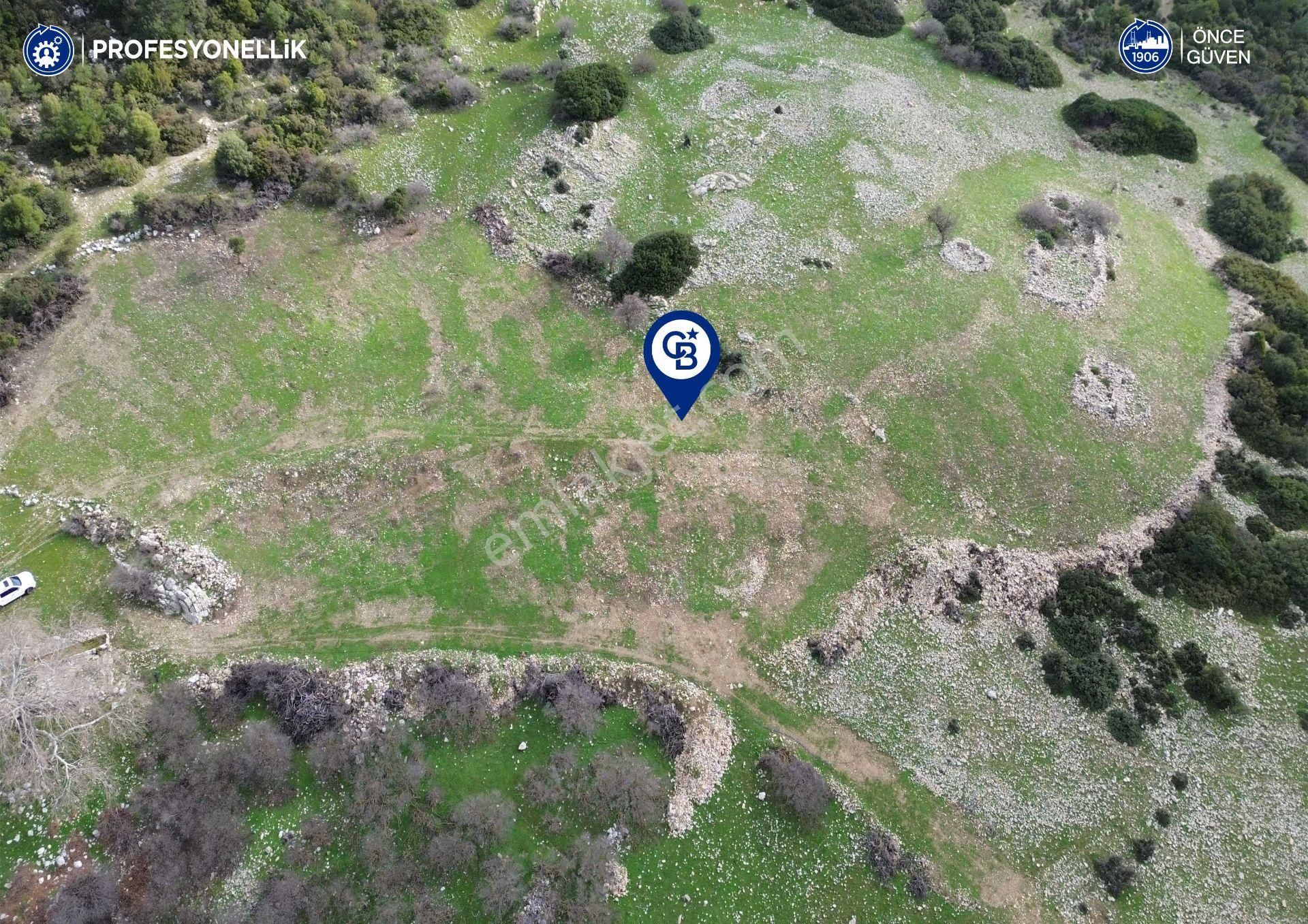 İzmir Karaburun Eğlenhoca Mahallesi'nde 5570 M2 Tarla - Görsel 10