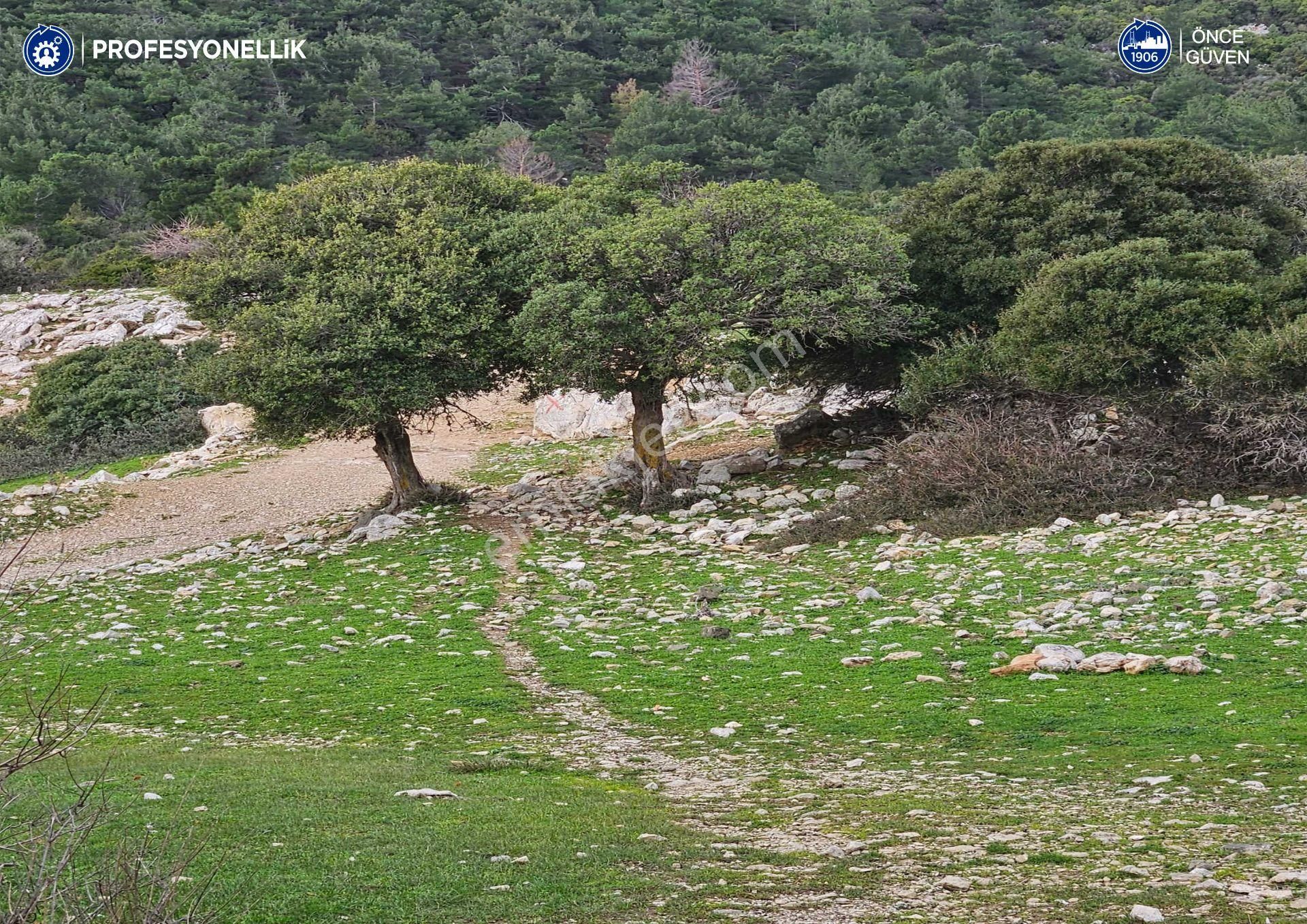 Karaburun Eğlenhoca Satılık Tarla İzmir Karaburun Eğlenhoca Mahallesi'nde 5570 M2 Tarla