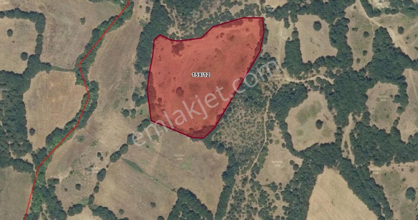 Yenice Çırpılar Köyü Satılık Tarla Çanakkale Yenice Çırpılar Köyü'nde Satılık 14.222 M2 Tarla