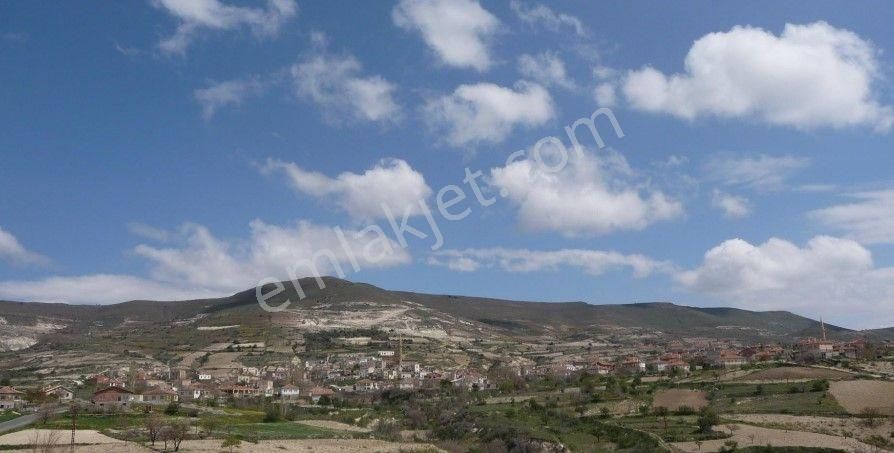 Nevşehir Ürgüp Satılık Bağ & Bahçe Ürgüp Ulaşlı Satılık 555 Kök Üzüm Bağı