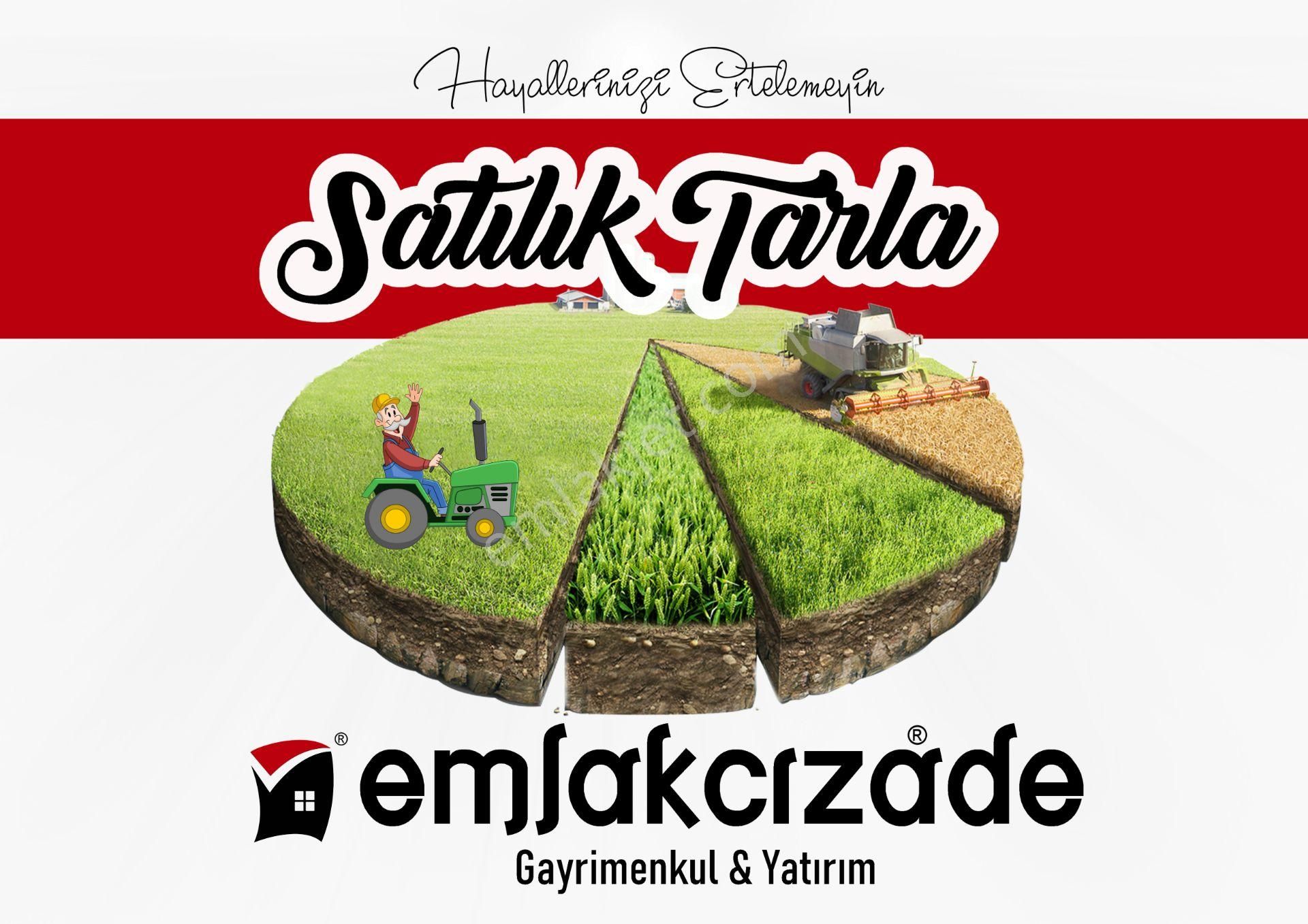 Polatlı Eskiköseler Satılık Tarla Polatlı Eskiköselerde Tek Tapu 51.000 M'2 Tarla