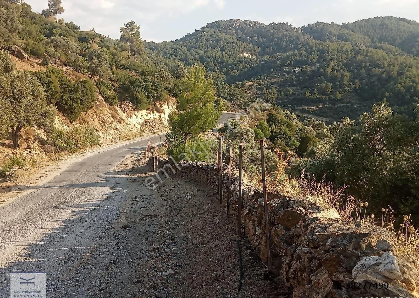 Çine Soğukoluk Satılık Bağ & Bahçe Ev Yapımına Uygun 513 M2 Arazi Fiyat Düştü