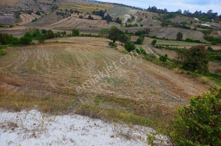 Kandıra Selametli Satılık Tarla Kocaeli Kandıra Selametli Yatırıma Uygun Kupon Satılık Tarla