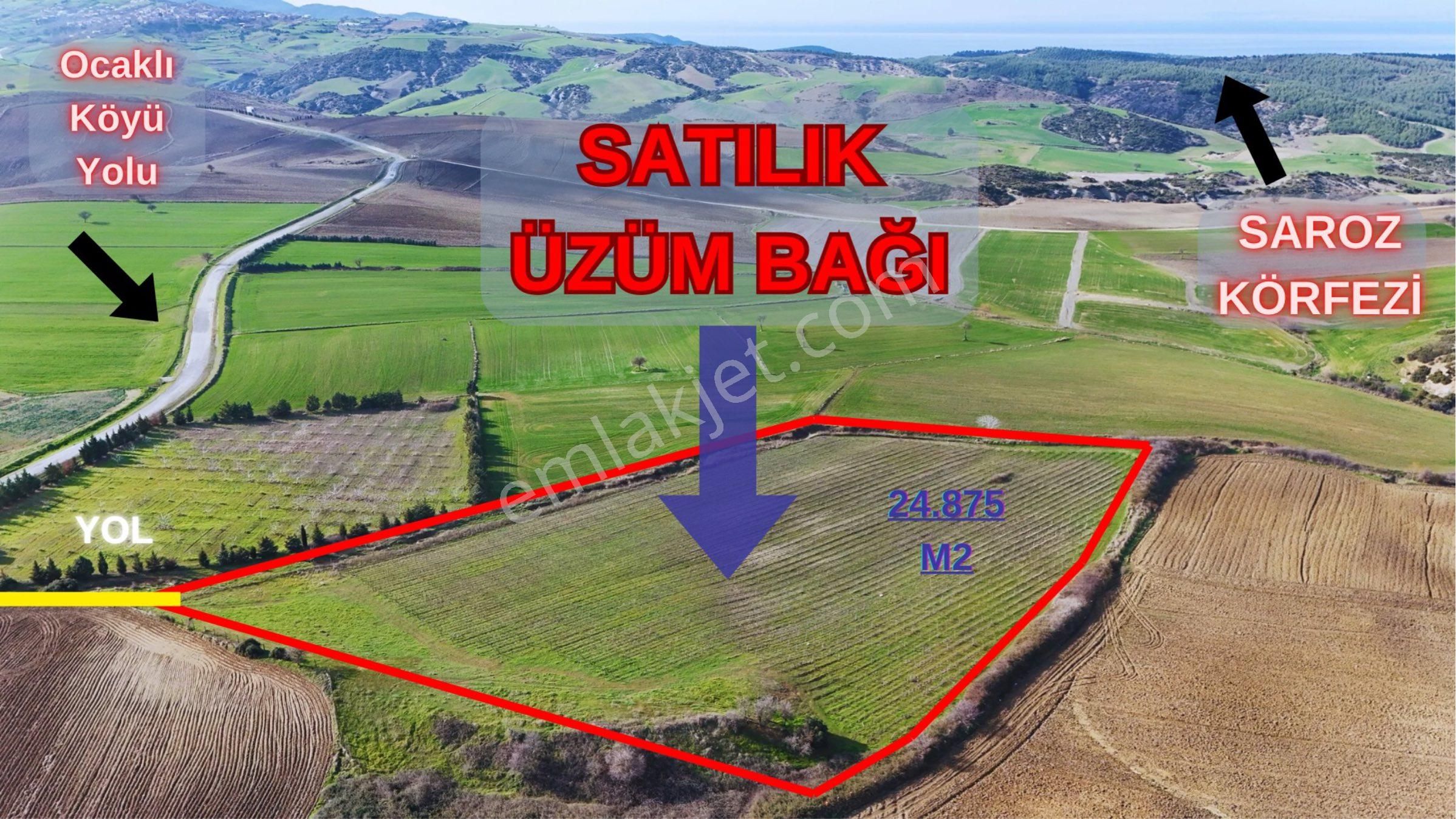 Çanakkale Gelibolu Satılık Bağ & Bahçe Geliboluda Ocaklı Köyünde Satılık Üzüm Bağı , Tarla , Bahçe