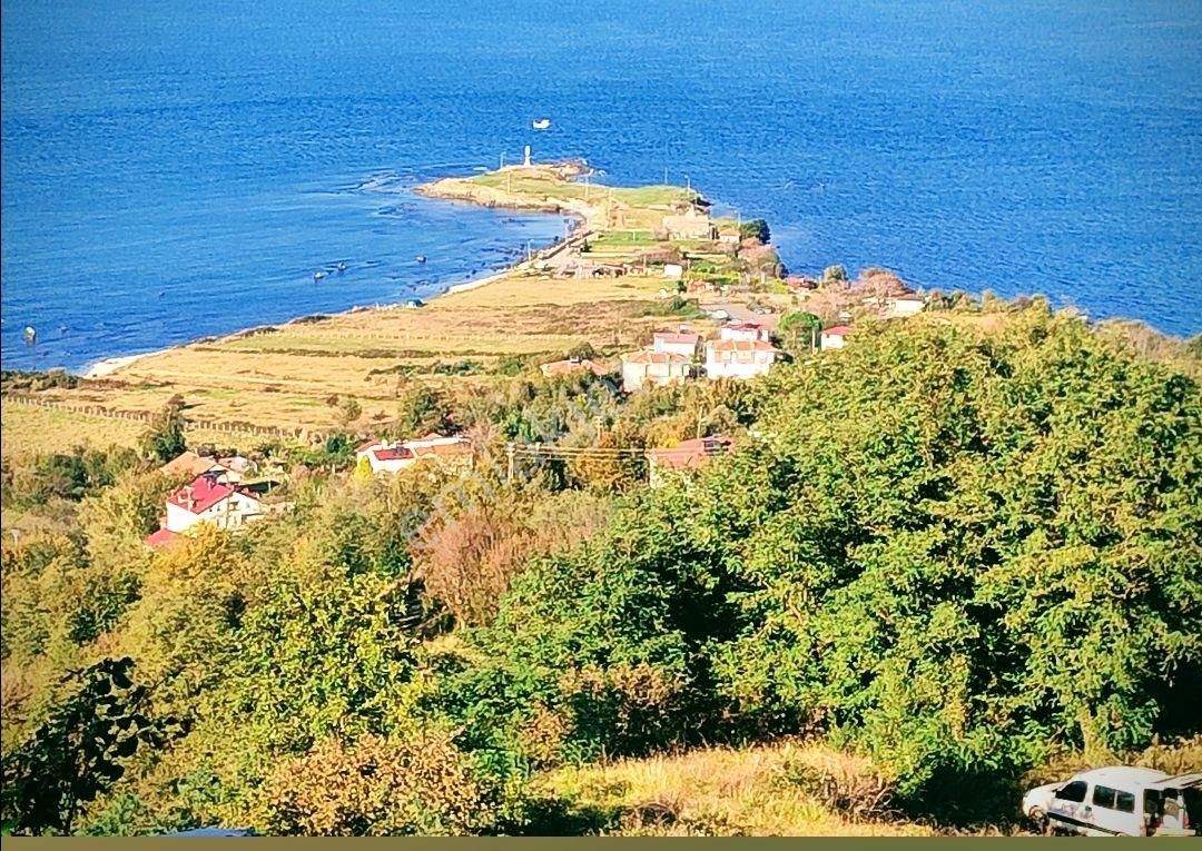 Perşembe Çaytepe Satılık Konut İmarlı Ordu Persembe Yason Çaytepe De Bulunmaz Yatırımlık Firsat Kupon Arsa