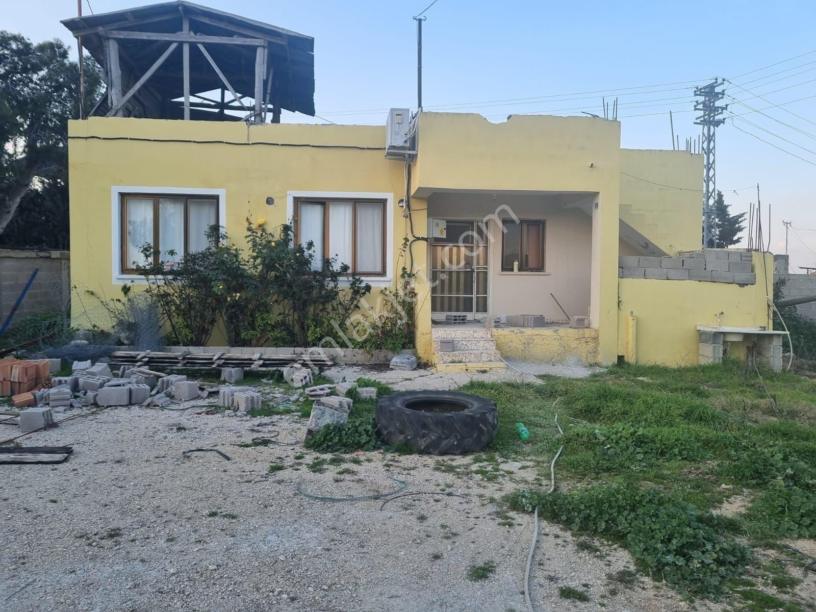 Adana Sarıçam Sahibşnden Çiftlik