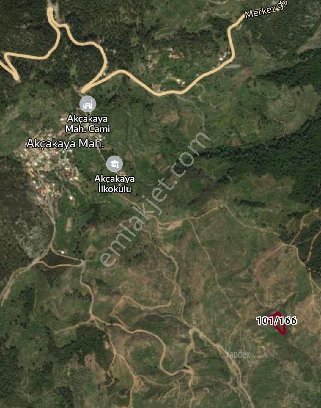 Muğla Milasta Tek Tapu Zeytinlik Tarla - Görsel 2