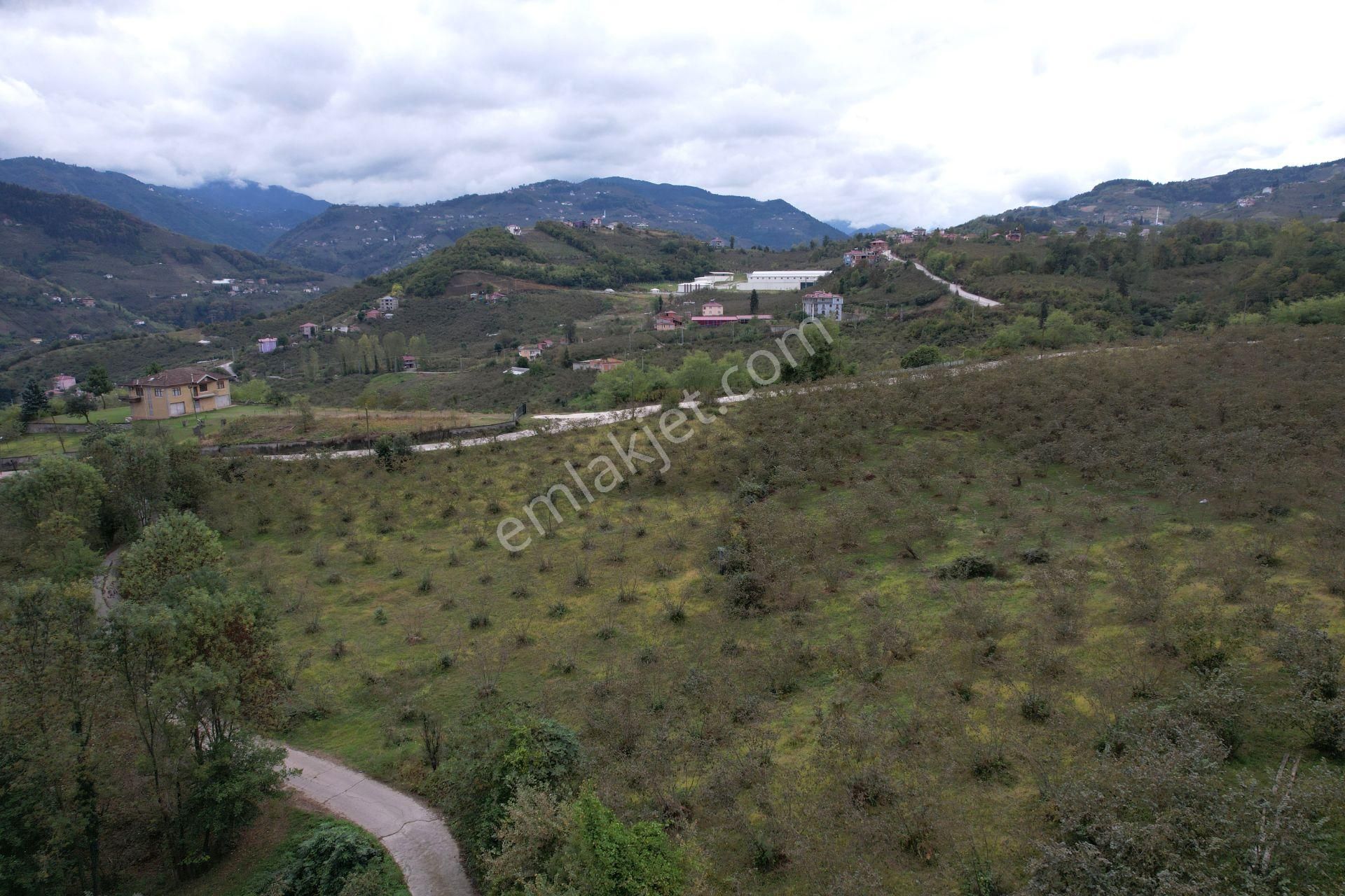 Trabzon Ortahisar Akoluk'ta 11.788 M² Kiralık Arsa