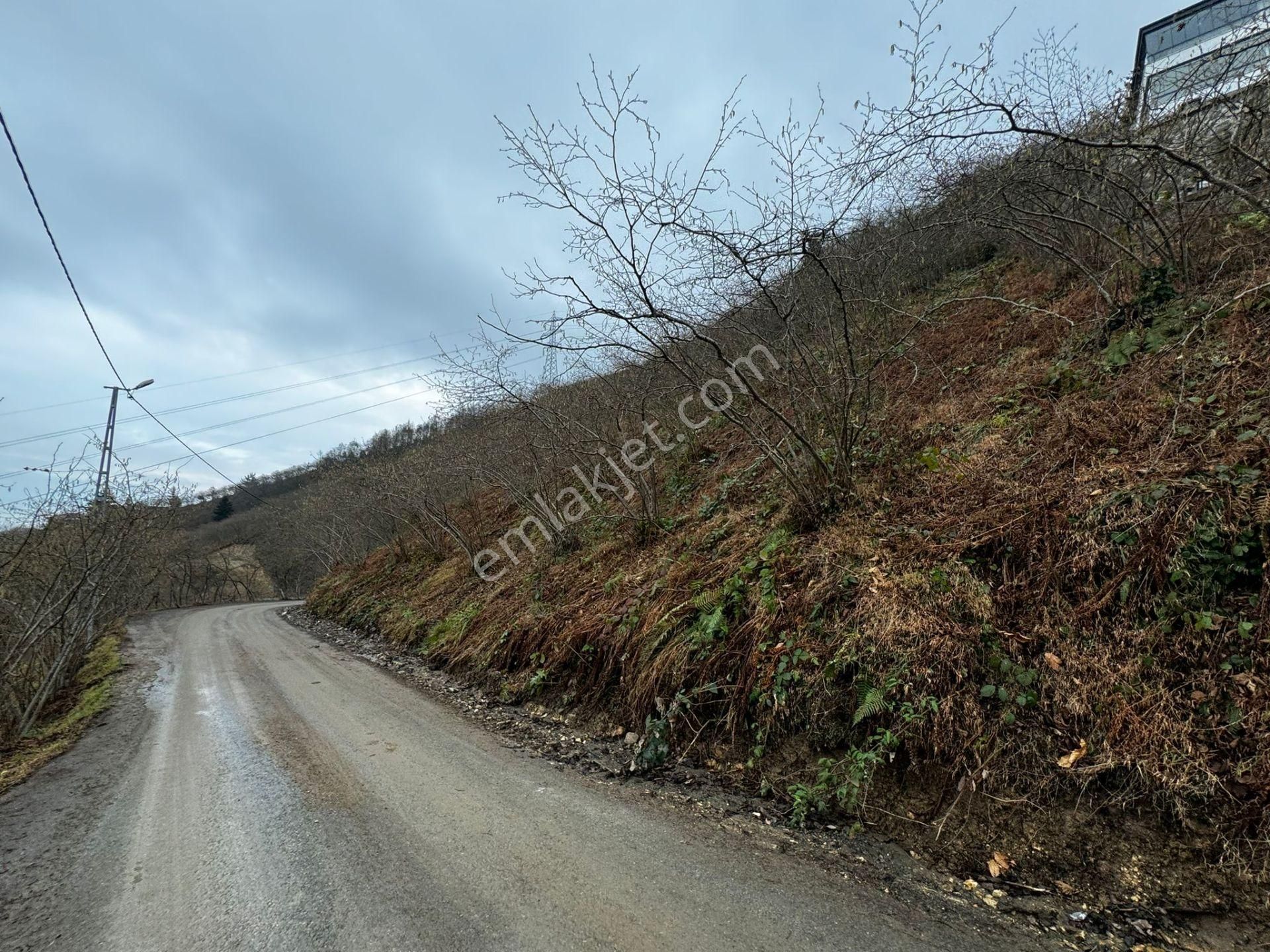 Trabzon Arsin Satılık Bağ & Bahçe Trabzon Arsin Elmaalan'da 1185 M² Doğa Manzaralı Satılık Arsa