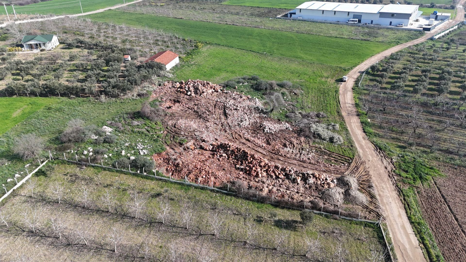 İzmir Menderes Satılık Çiftlik Oğlananasında 250 M2 Kapalı Alanlı Depo Yeri Menderes İzmir