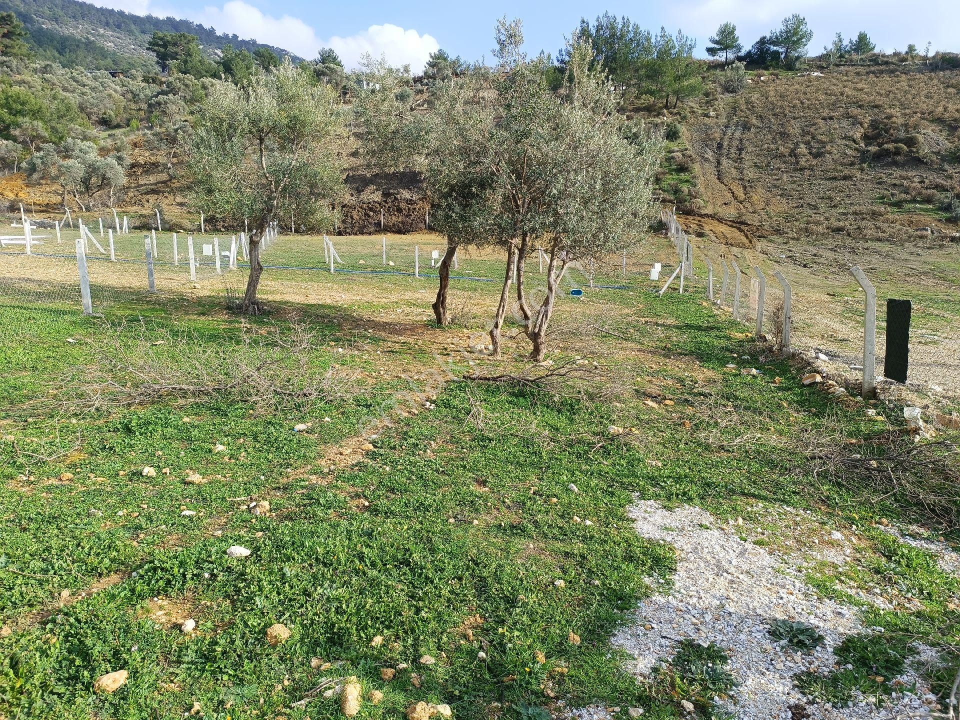 Buca Kırıklarda 250 M² Arsa - Görsel 5