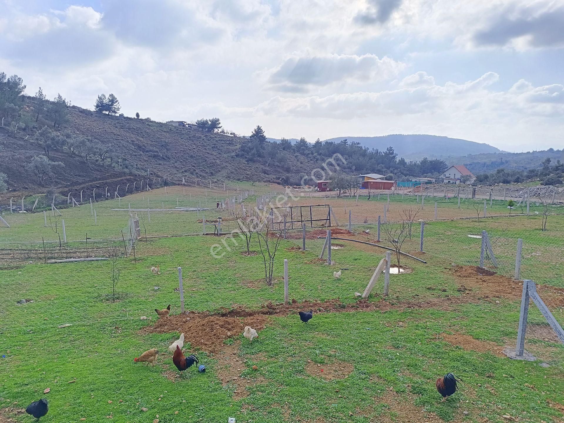 Buca Kırıklarda 250 M² Arsa - Görsel 17