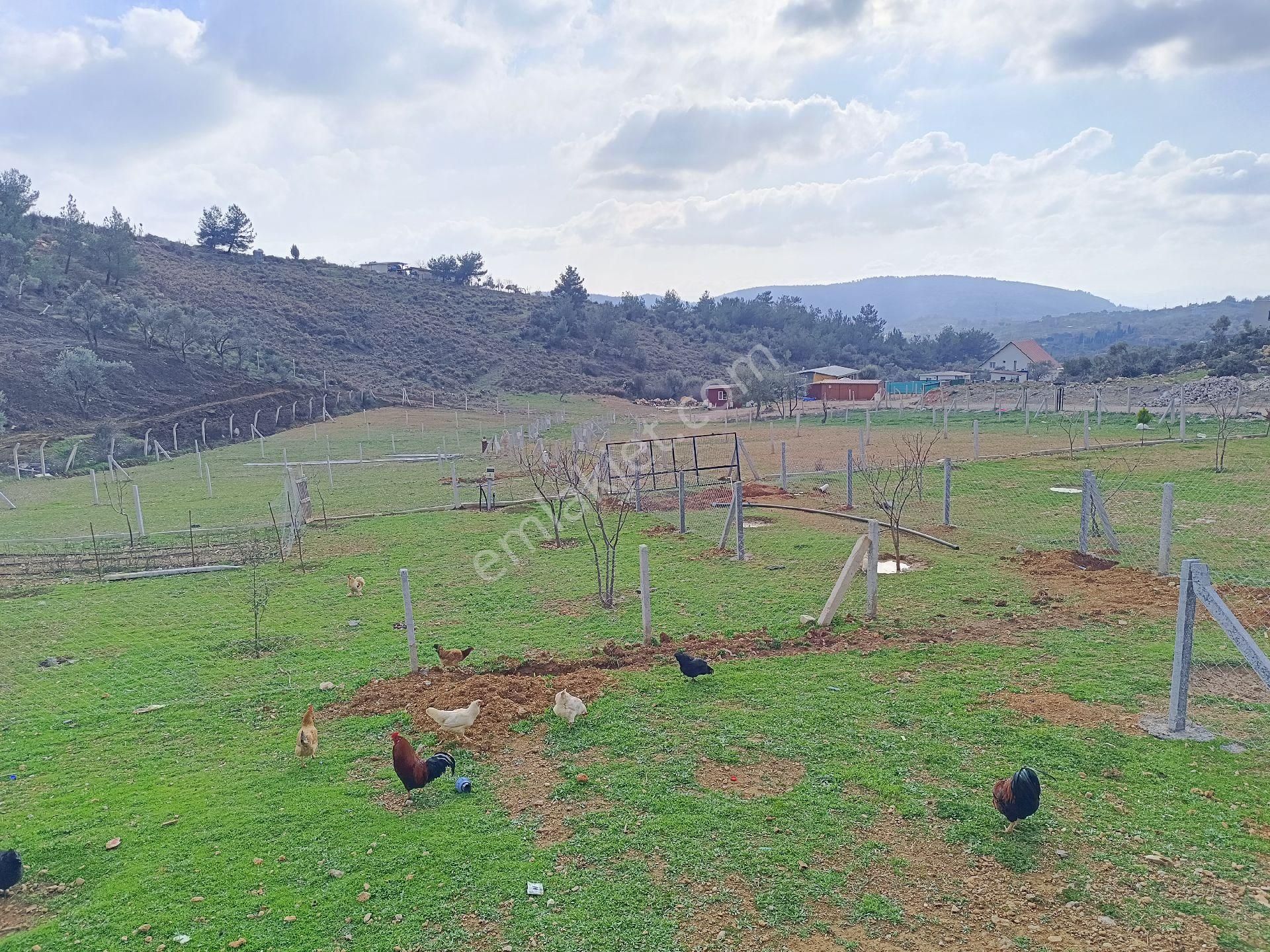 Buca Kırıklarda 250 M² Arsa - Görsel 16