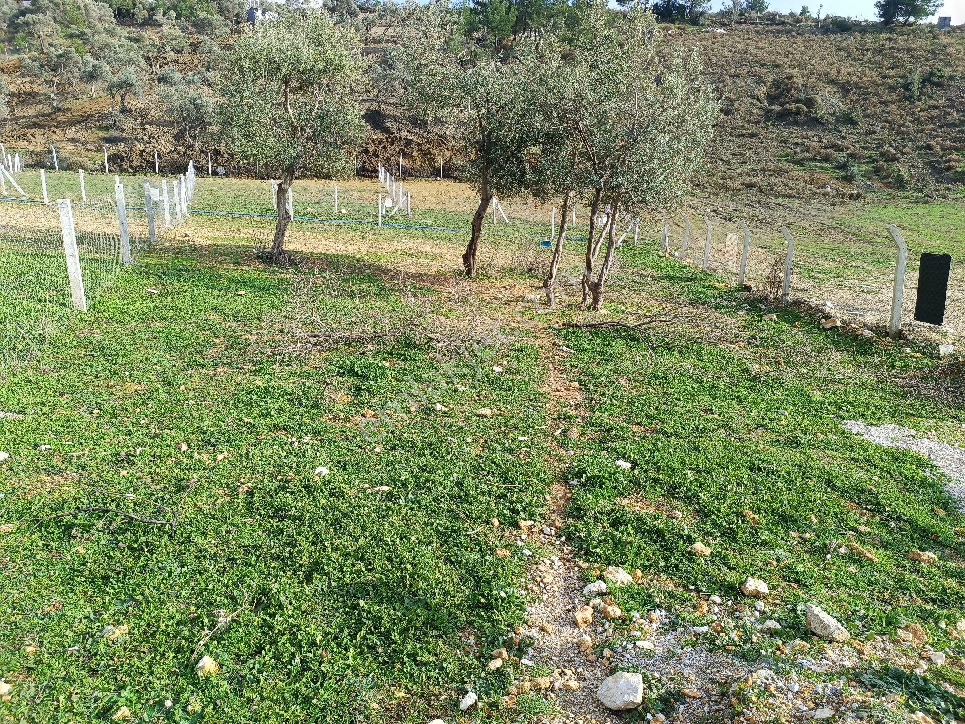 Buca Kırıklarda 250 M² Arsa - Görsel 4