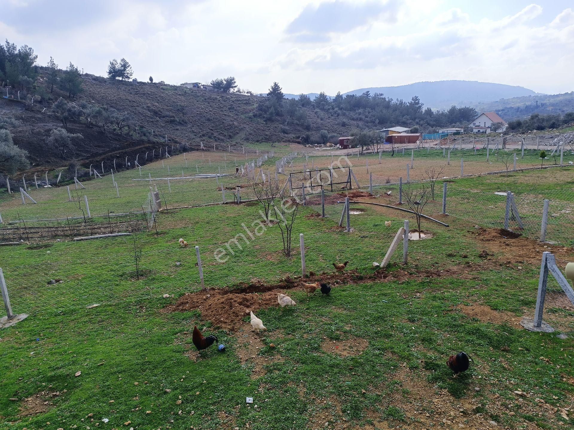 Buca Kırıklarda 250 M² Arsa - Görsel 15