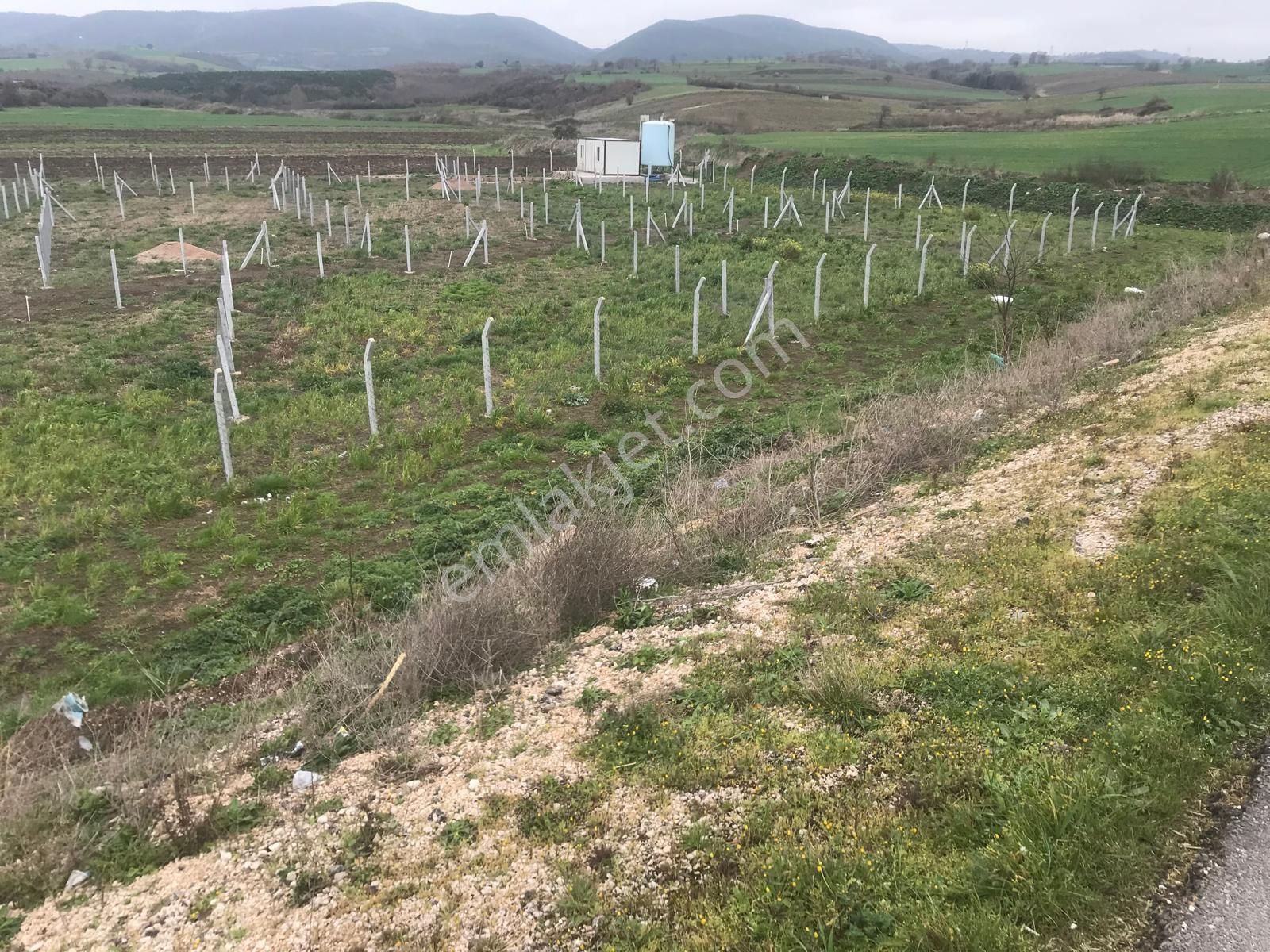 Biga Kepekli Köyü Satılık Tarla Çanakkale Biga'da Yatırım Fırsatı