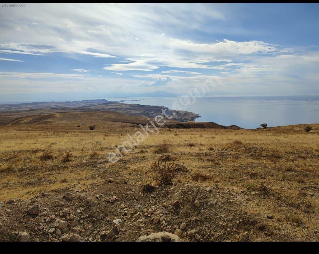 Tuşba Ayanıs Satılık Tarla Sahibinden Ayanista Göl Manzaralı Tarla