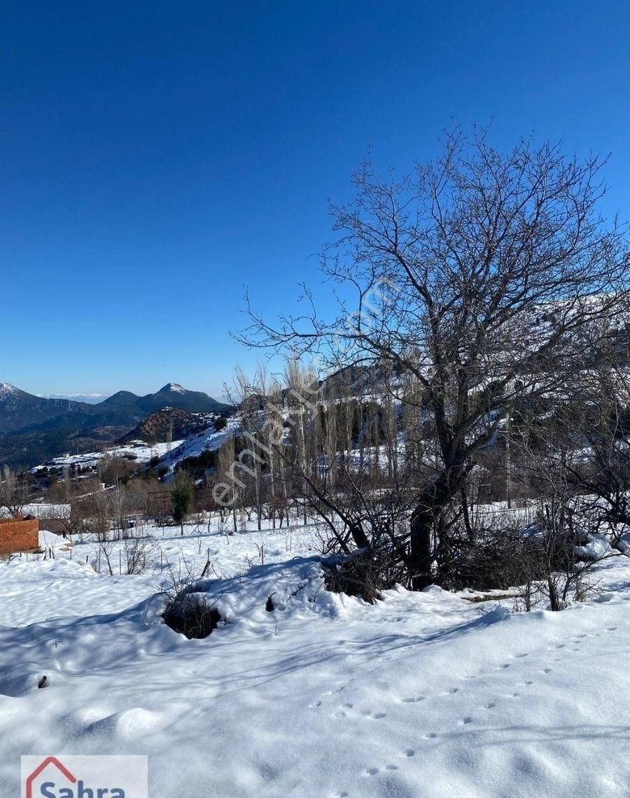 Korkuteli Güzle Satılık Tarla Yazır Güzle'de Köy İçi Satılık Tek Tapu