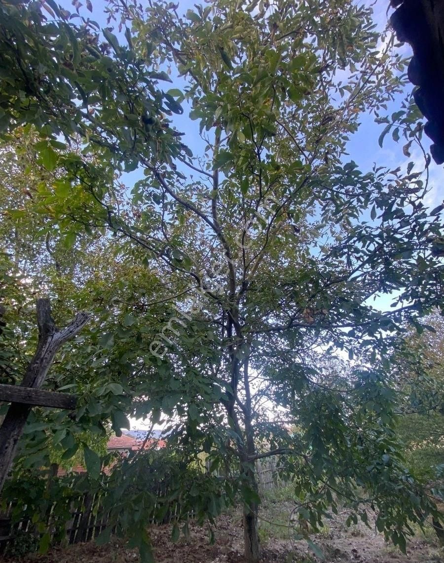 Balıkesir Gönen Satılık Müstakil Ev Bahçeli 400m2 - Görsel 25