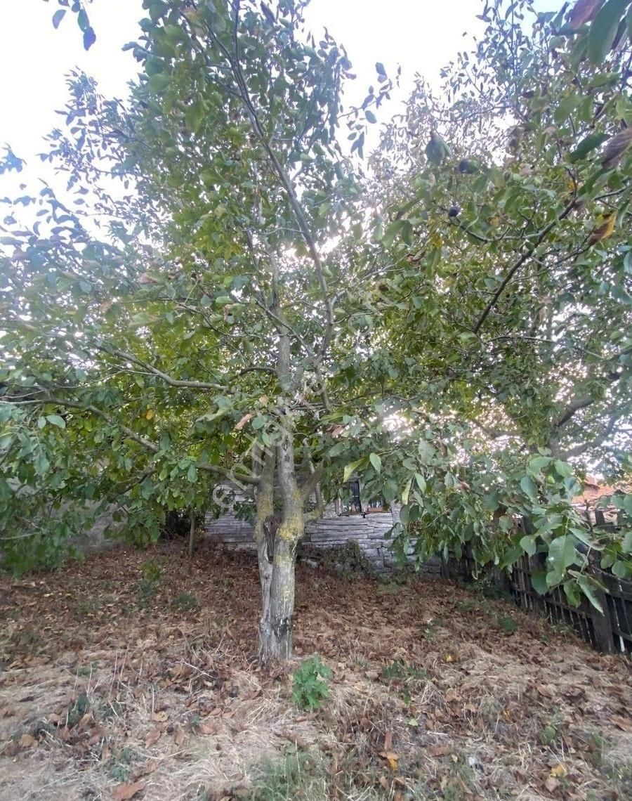 Balıkesir Gönen Satılık Müstakil Ev Bahçeli 400m2 - Görsel 5