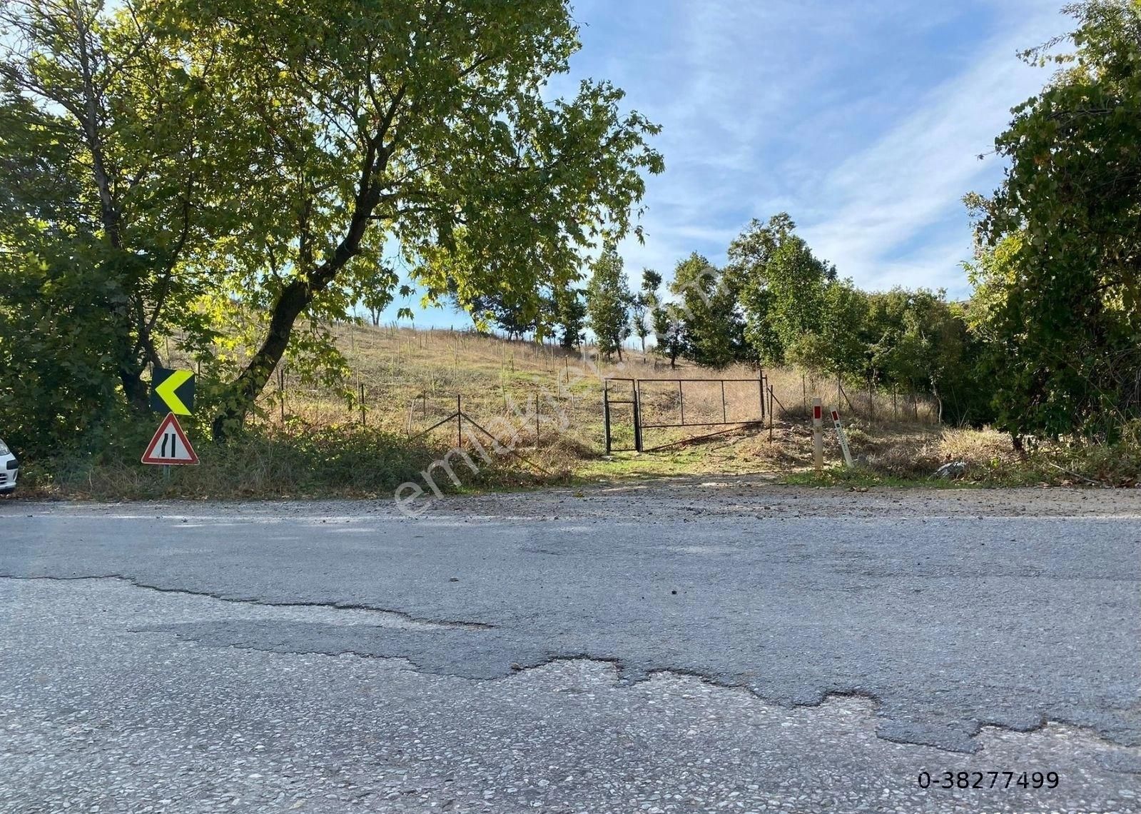 Balıkesir Gönen Kocapınar Mah Ana Yola Cephe 12.731m2 Meyve Bahçemiz Satılık - Görsel 2