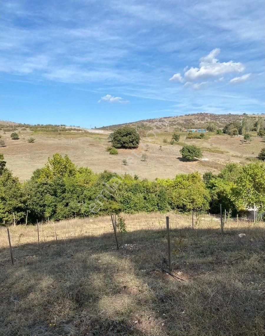 Balıkesir Gönen Kocapınar Mah Ana Yola Cephe 12.731m2 Meyve Bahçemiz Satılık - Görsel 20