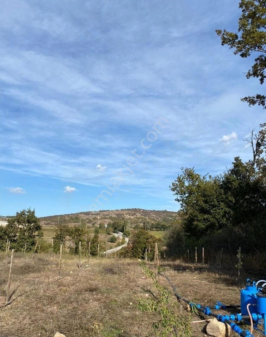 Balıkesir Gönen Kocapınar Mah Ana Yola Cephe 12.731m2 Meyve Bahçemiz Satılık - Görsel 6