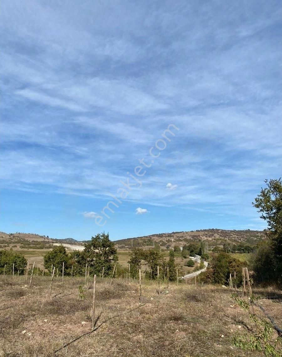 Balıkesir Gönen Kocapınar Mah Ana Yola Cephe 12.731m2 Meyve Bahçemiz Satılık - Görsel 16