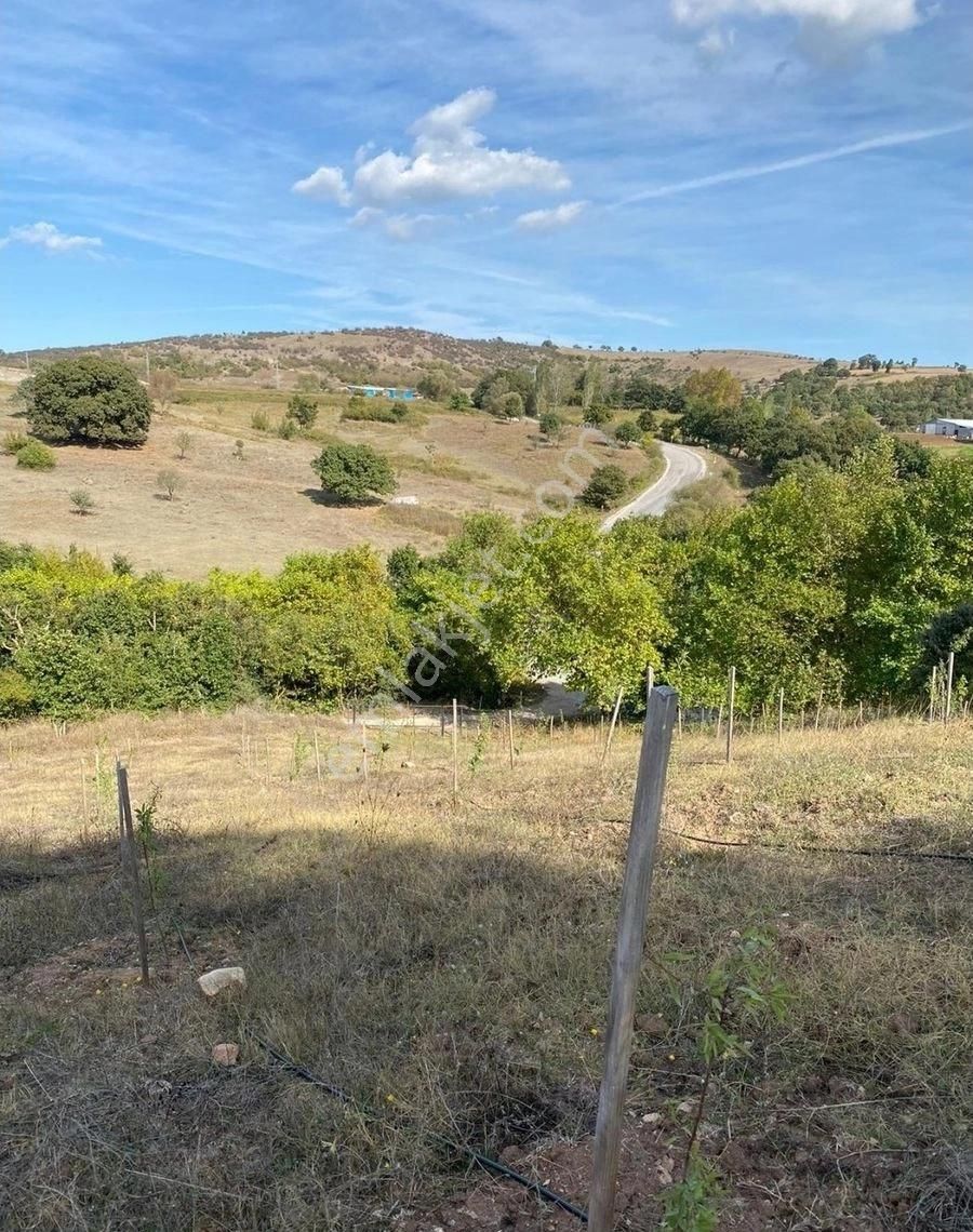 Balıkesir Gönen Kocapınar Mah Ana Yola Cephe 12.731m2 Meyve Bahçemiz Satılık - Görsel 26