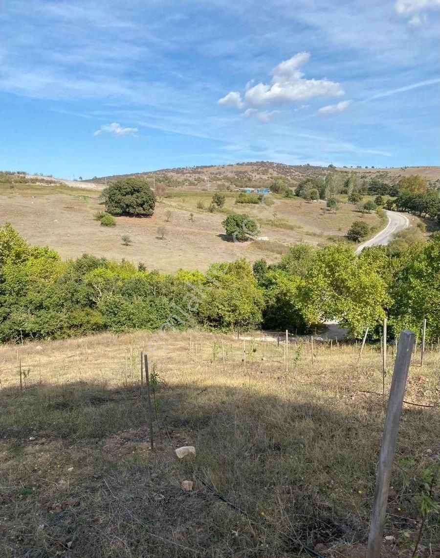 Balıkesir Gönen Kocapınar Mah Ana Yola Cephe 12.731m2 Meyve Bahçemiz Satılık - Görsel 17