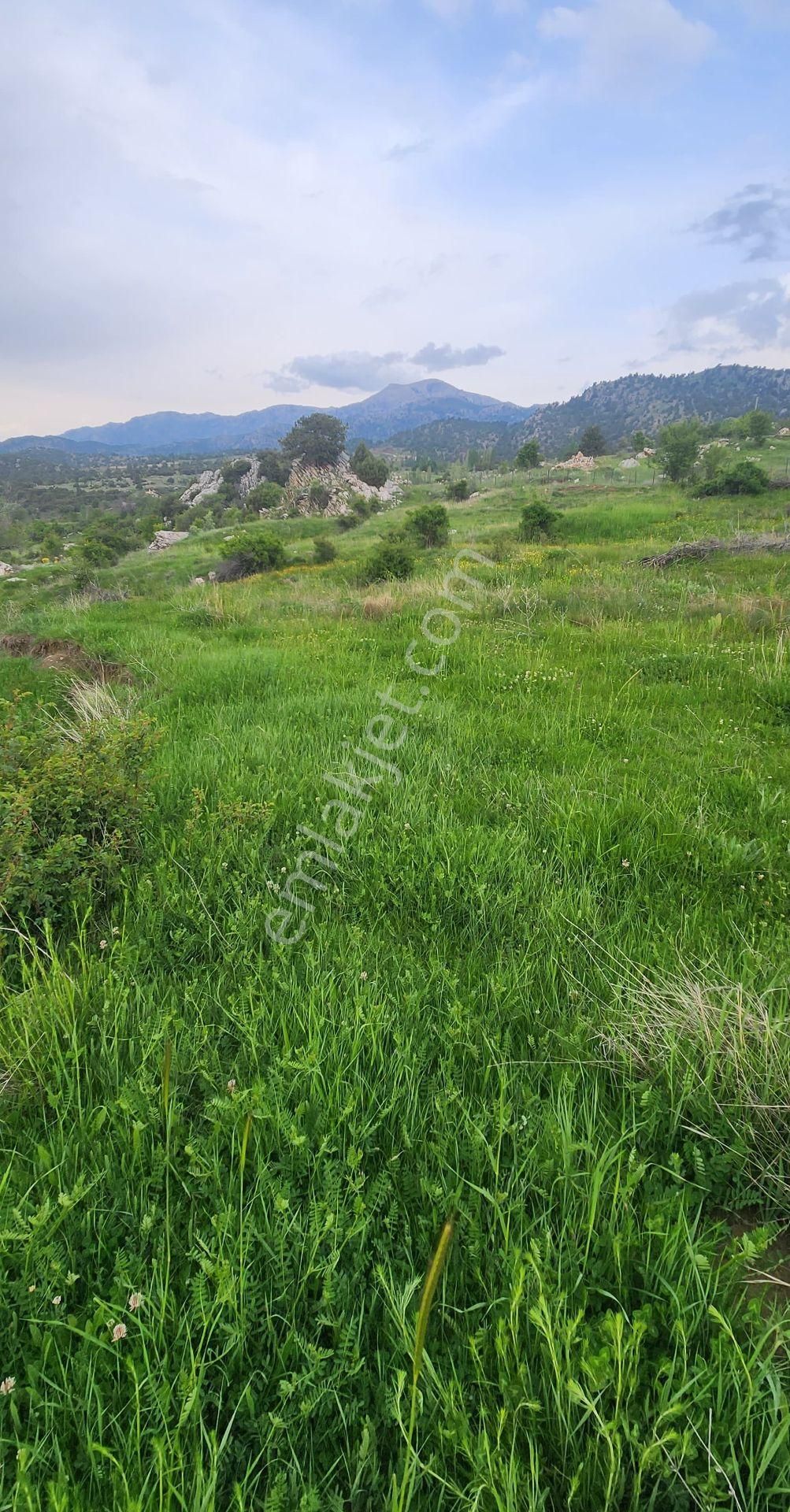 Goldhouse Dan Satılık  8800 M² Tarla - Görsel 2