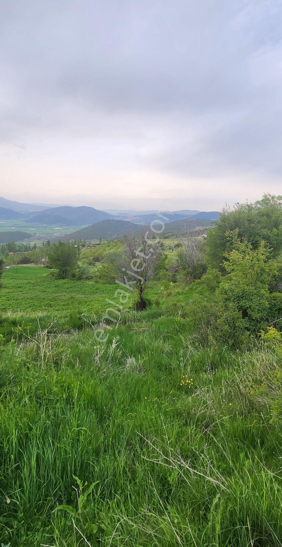 Goldhouse Dan Satılık  8800 M² Tarla - Görsel 3