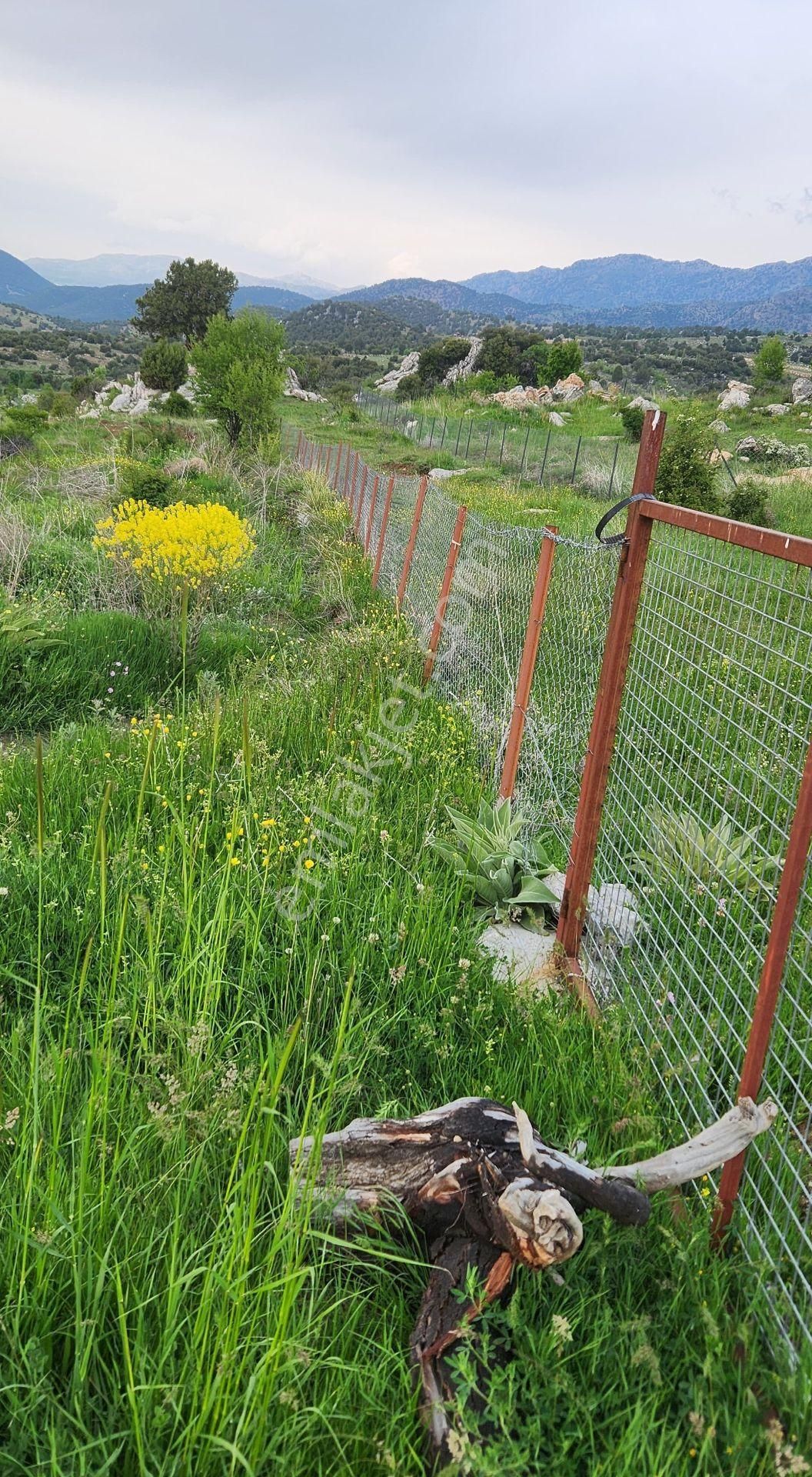 Goldhouse Dan Satılık  8800 M² Tarla - Görsel 4