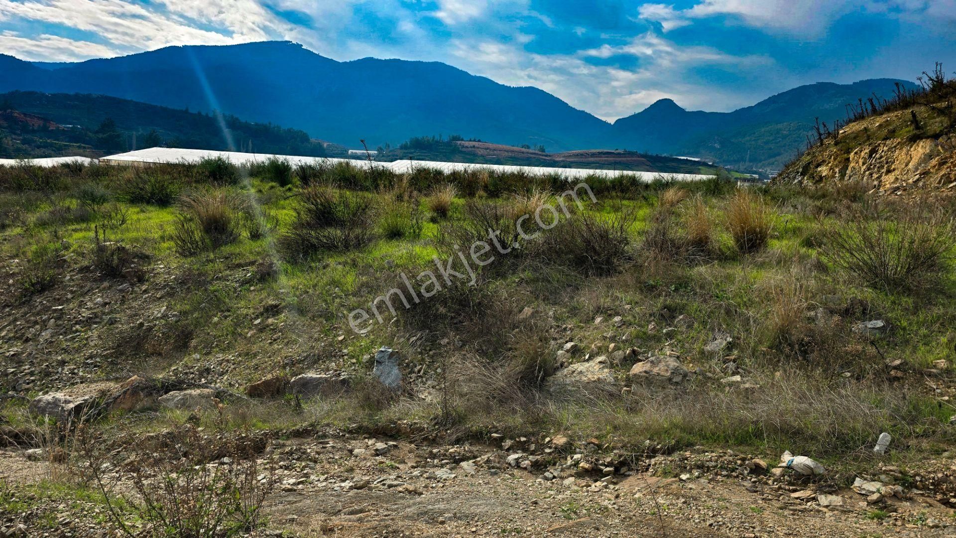 Anamur Malaklar Satılık Tarla Mersin Anamur Malaklar Satılık Müstakil Tapulu Tarla