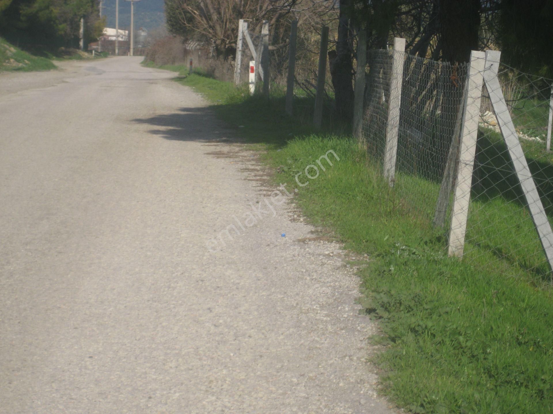 Acil..acil.. Foça Ilıpınarda Yola Cepheli 1483 M2 Yatırımlık Arazi - Görsel 5
