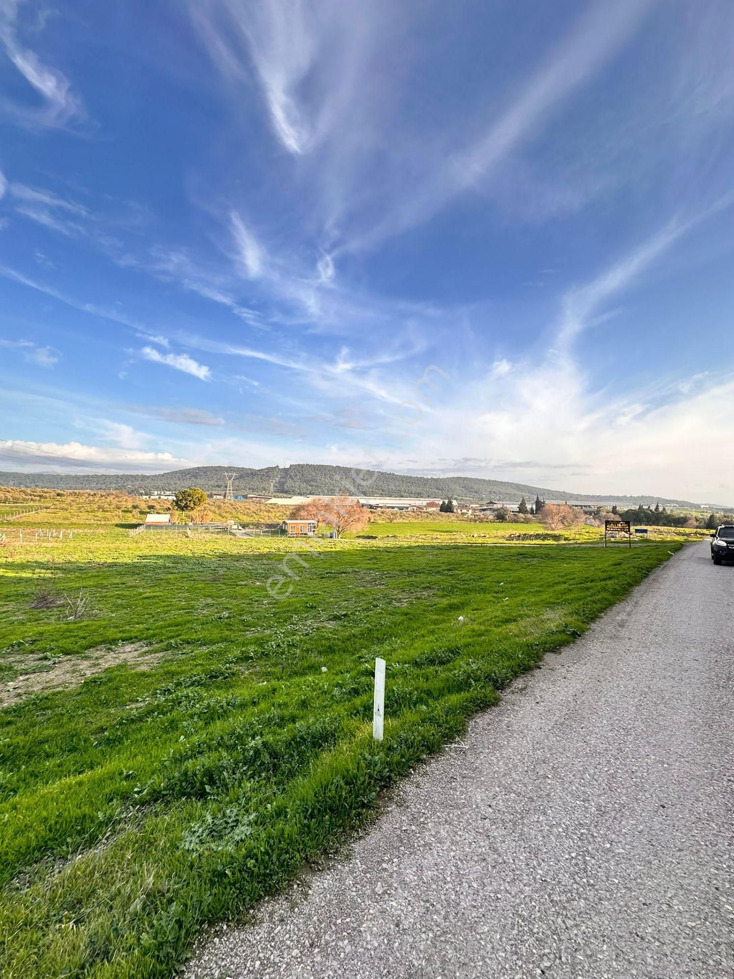 Acil..acil.. Foça Ilıpınarda Yola Cepheli 1483 M2 Yatırımlık Arazi - Görsel 23