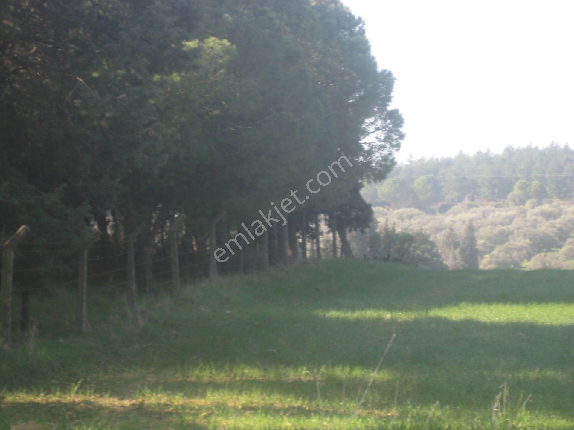 Acil..acil.. Foça Ilıpınarda Yola Cepheli 1483 M2 Yatırımlık Arazi - Görsel 16