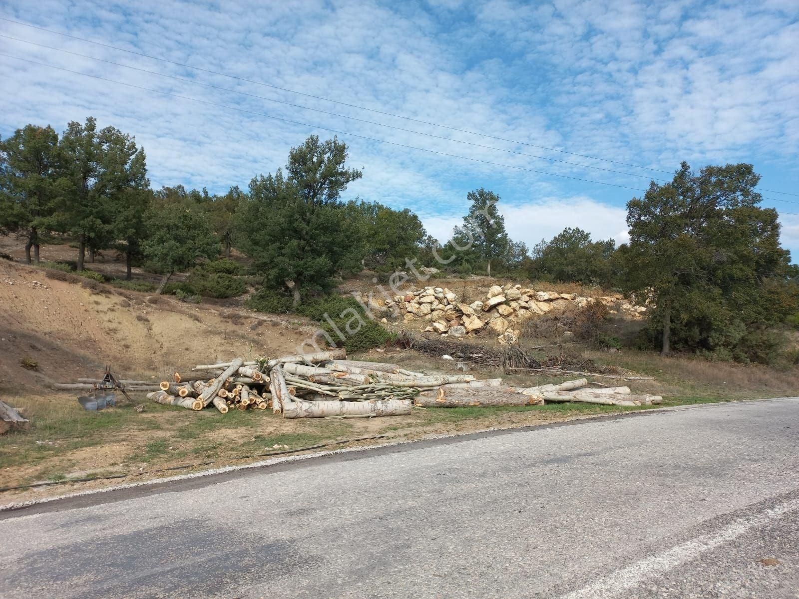 Çameli Çamlıbel Satılık Konut İmarlı Fatoş Emlak'tan Denizli Çameli Çamlıbel Mevki 538 M2 İmarlı Arsa