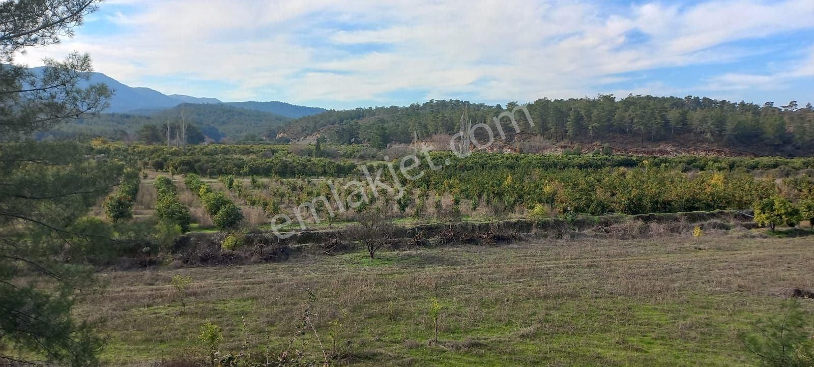 Köyceğiz Döğüşbelen Satılık Tarla Fatoş Emlak'tan Muğla Köyceğiz Döğüşbelen Mah 5210 M2 Tarla