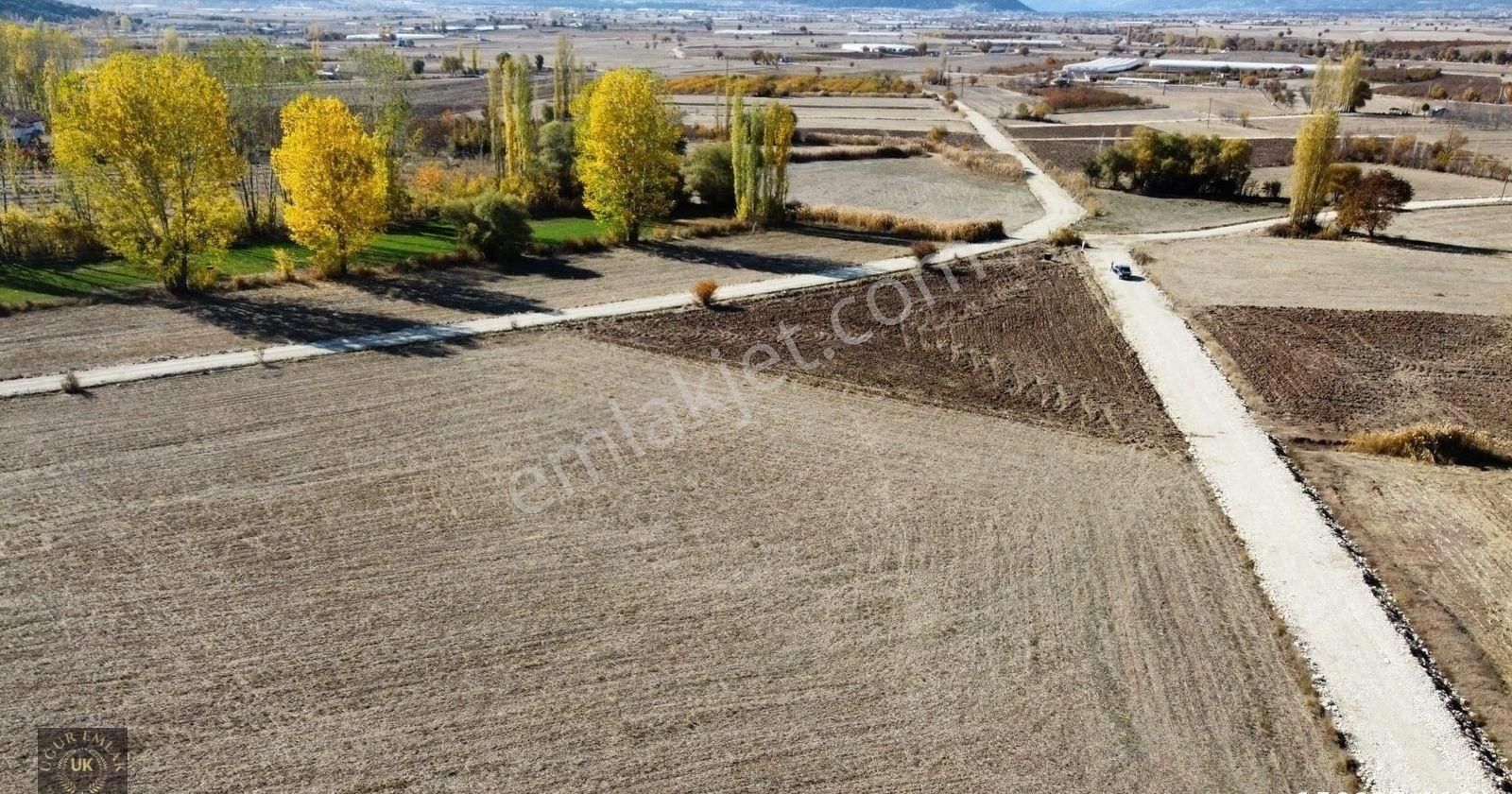 Seydikemer Seki'de 3 Dönüm Tek Tapu Resmi Yola Cepheli Arazi - Görsel 6