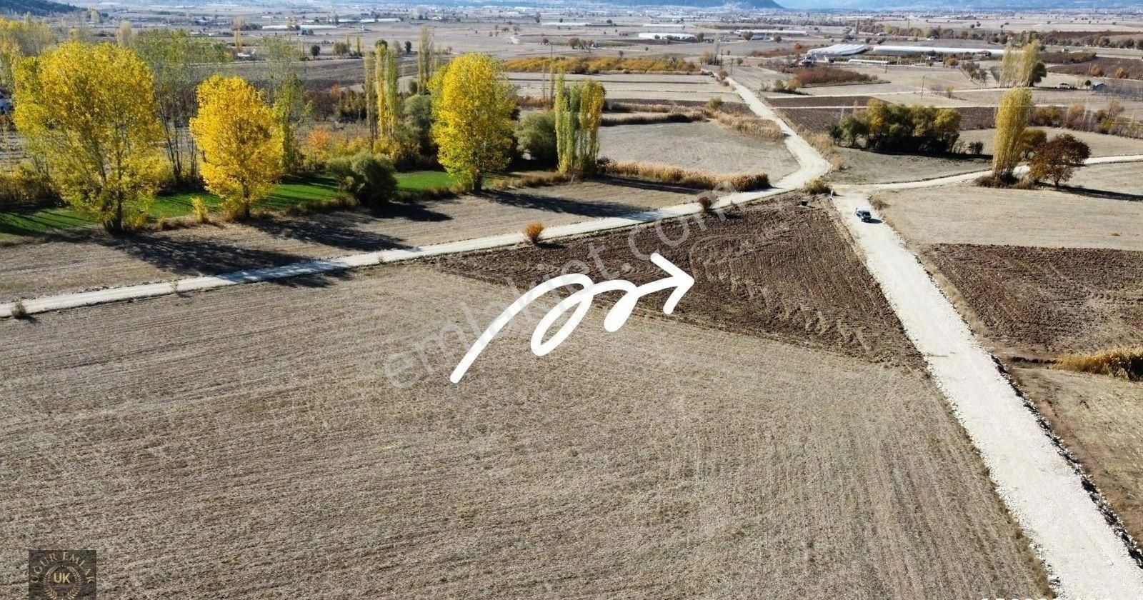 Seydikemer Seki'de 3 Dönüm Tek Tapu Resmi Yola Cepheli Arazi - Görsel 15