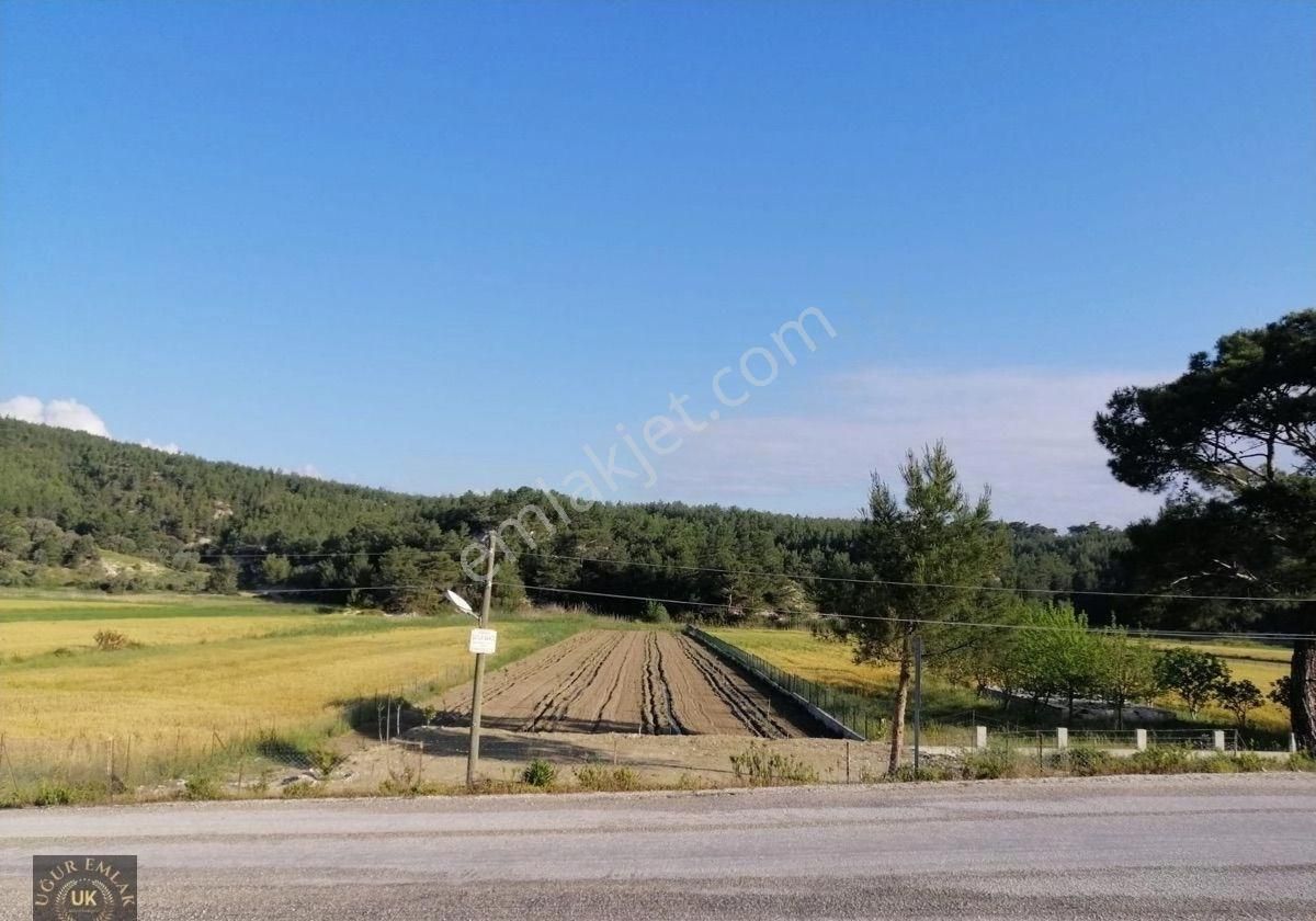 Seydikemer Korubükü Satılık Bağ & Bahçe Muğla Seydıkemer Korubükü Satılık Meyve Bahçesi